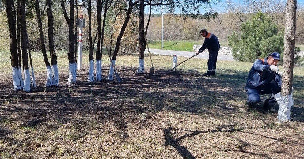 � ���������� ������������ ��� ������ ���������� �������������� ��������� ��������������� ���������� ��������� 79-� ��������� ������� ���������� �������