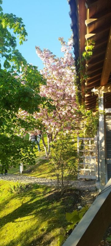 ������ ����, �����������!