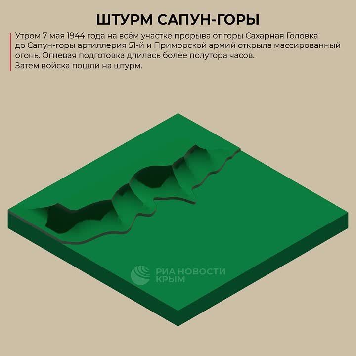 � ����������� �������� 81-� ��������� ������������ ������ �����-����