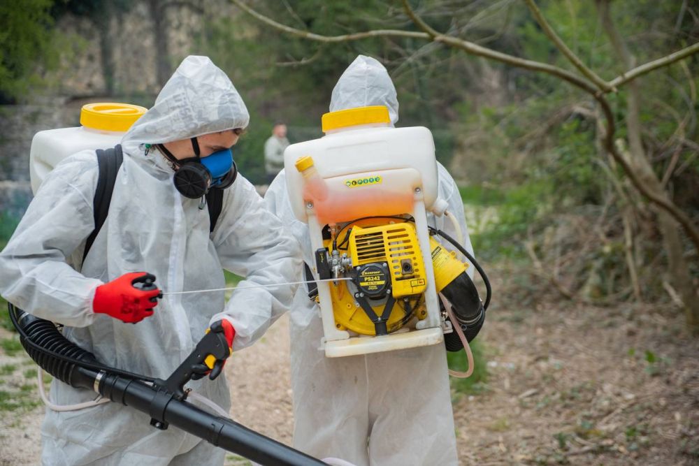 � ����������� ���������� ������������ ���������� �� ������