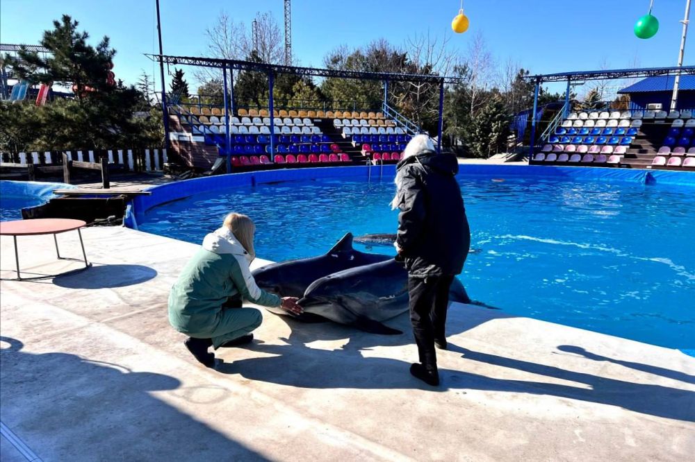 � ����������� ��������������� ����������� ������� ��������� � �����������