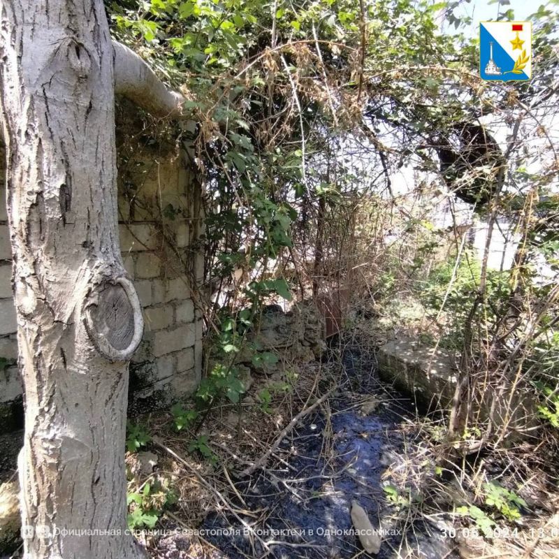 ��������������� ���������� ���������� ������ ���������� ����� �� 723 ���