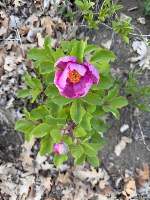 #��� ��� ������?. ��� �������� �������� ������ � ����� ��������� ����, ������������ �������, ���������� �� �������