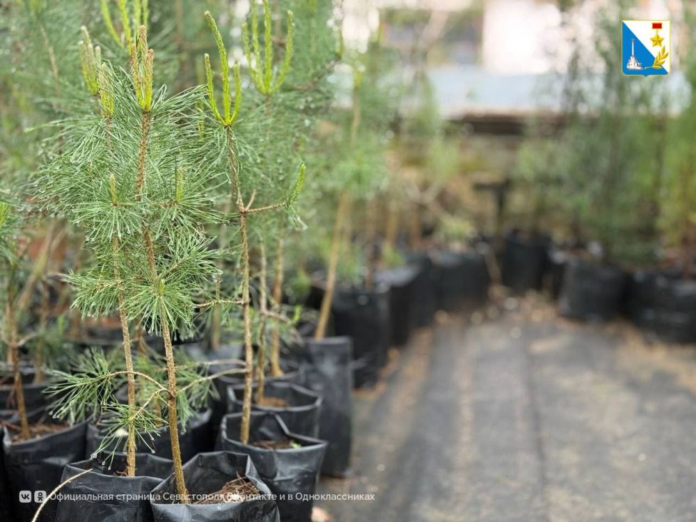 � ����������� �������� ������� ����� ���������� ��� ���������� �����