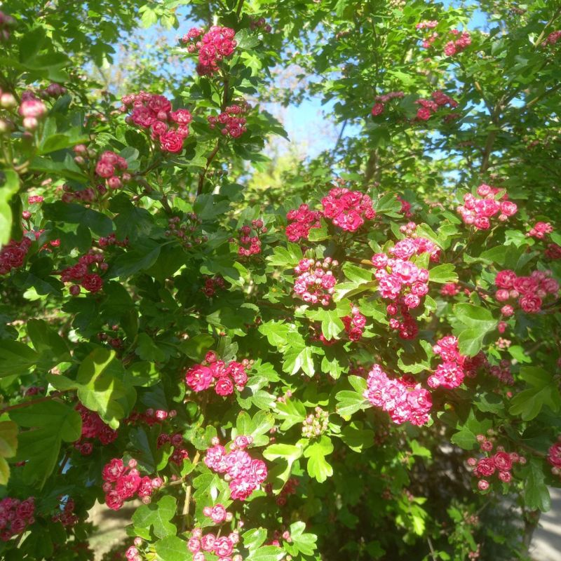 #��� ��� ������?. ���� �������� � ��� �������� ��������� ���� �� �������� �������� � ����� ������, ��� �������, ����� ���� ������� ���������� �������