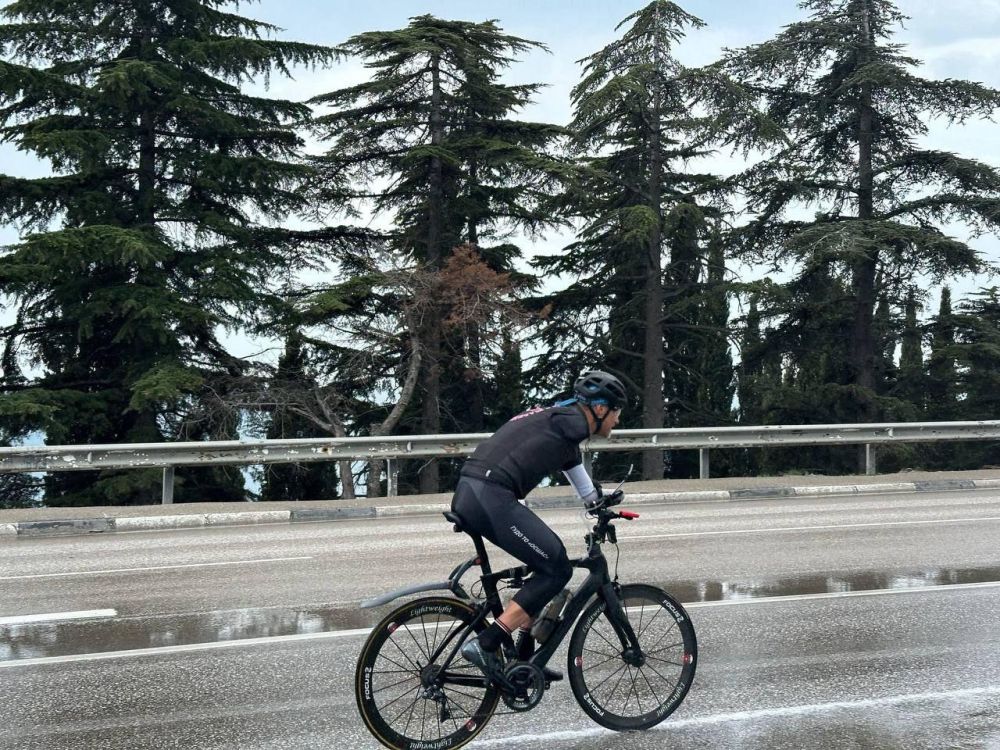 ����� ������: ������������� ������� ��������� �������� ������������ � ������