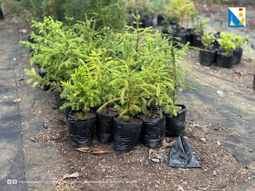 � ����������� �������� ������� ����� ���������� ��� ���������� �����