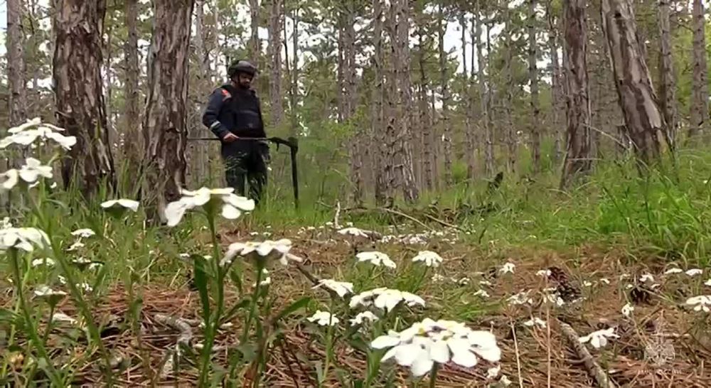 ����� � ��������� ������� ������������� ���������� � ����� ��� ������ � �����������