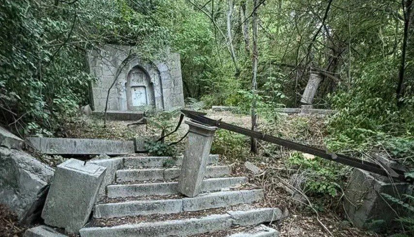 �� ������������� ����������� ���� � ����� �������� 10 ��� ������