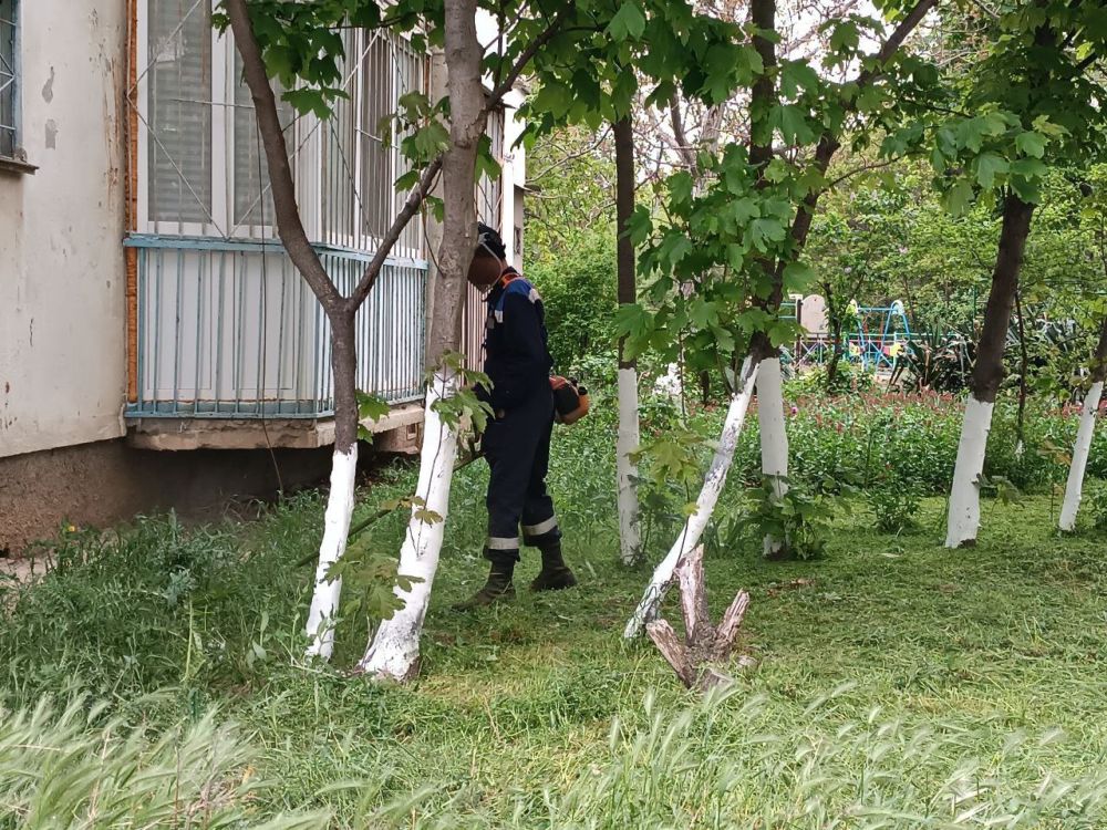 � ������ ������������ ������ �� ������ �����