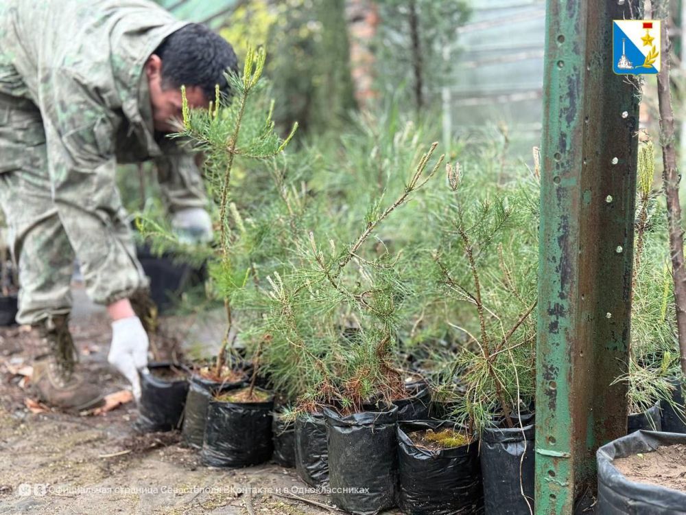 � ����������� �������� ������� ����� ���������� ��� ���������� �����