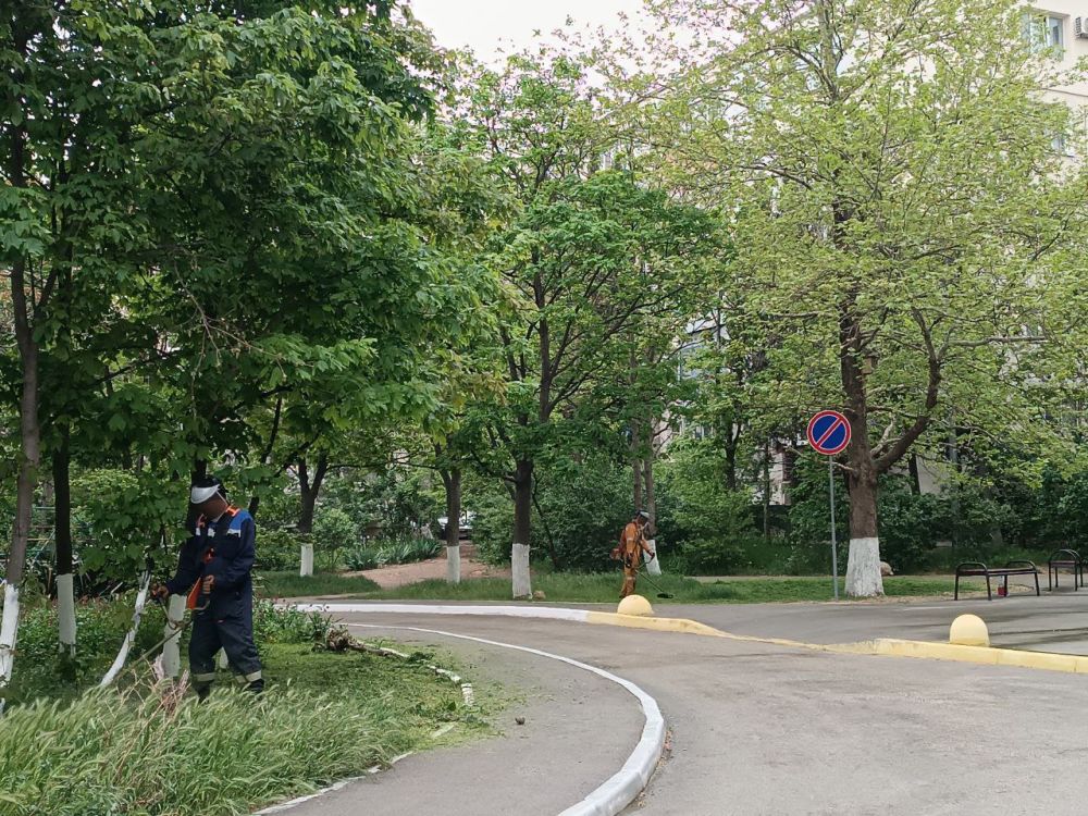 � ������ ������������ ������ �� ������ �����