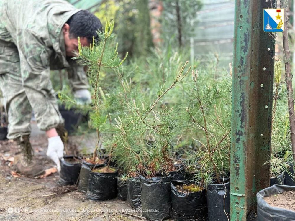 � ����������� �������� ������� ����� ���������� ��� ���������� �����