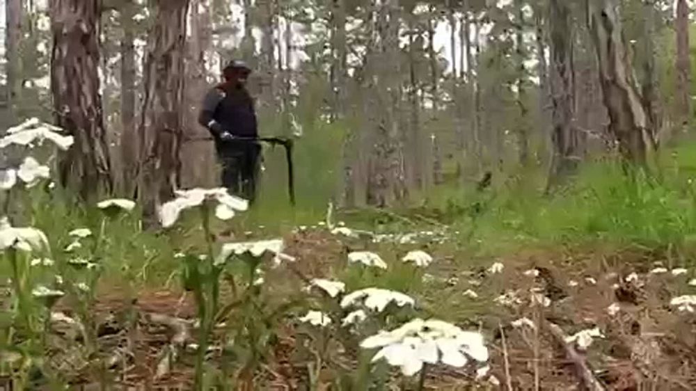 ����� � ��������� ������� ������������� ����� ���������� ����������� � �����������