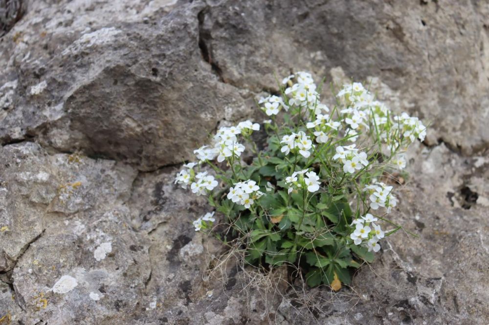 ������� ������ � ����� �� 8 ���