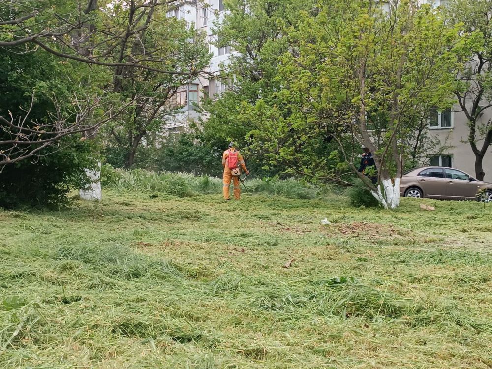 � ������ ������������ ������ �� ������ �����