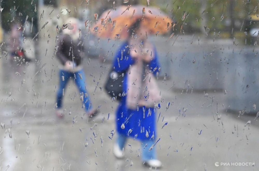 ������� ������ � ����� �� �������