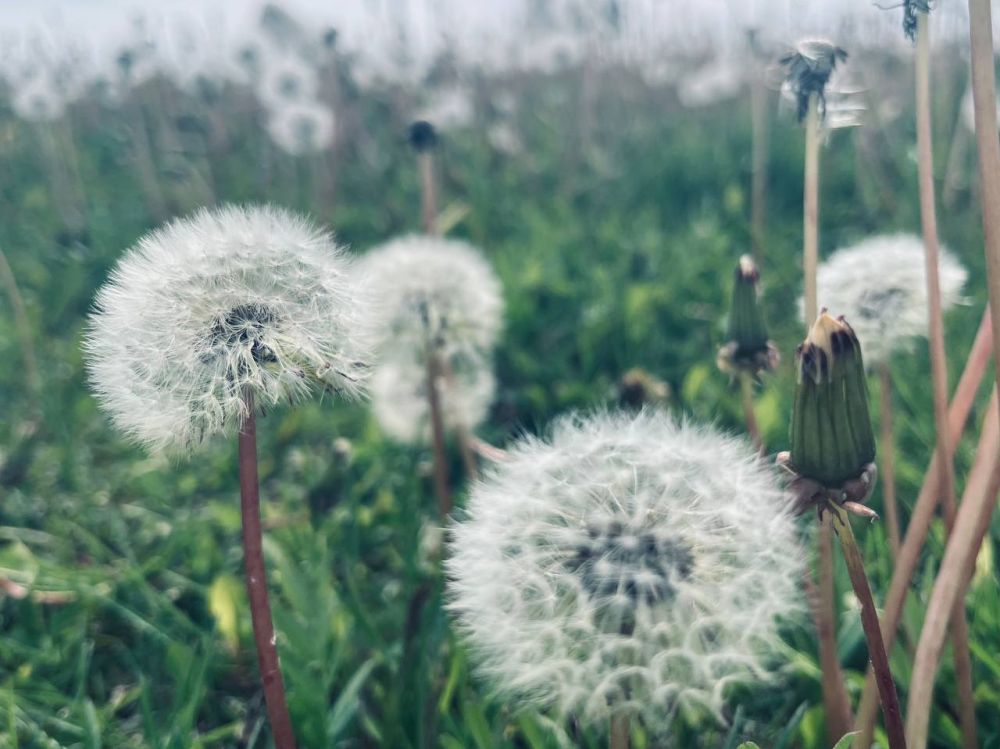 ���� ������� ����!. � ����������� 8 ��� ����� ��������� �����, ���� ��� ������������ �������