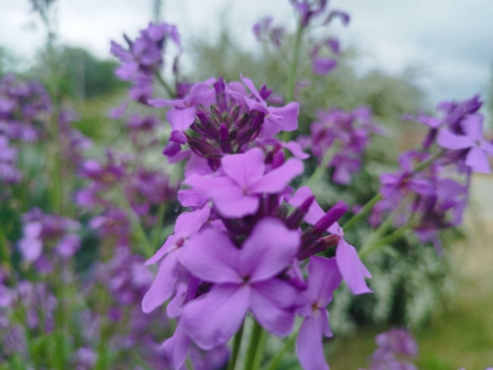 ������� ������ � ����� �� 9 ���