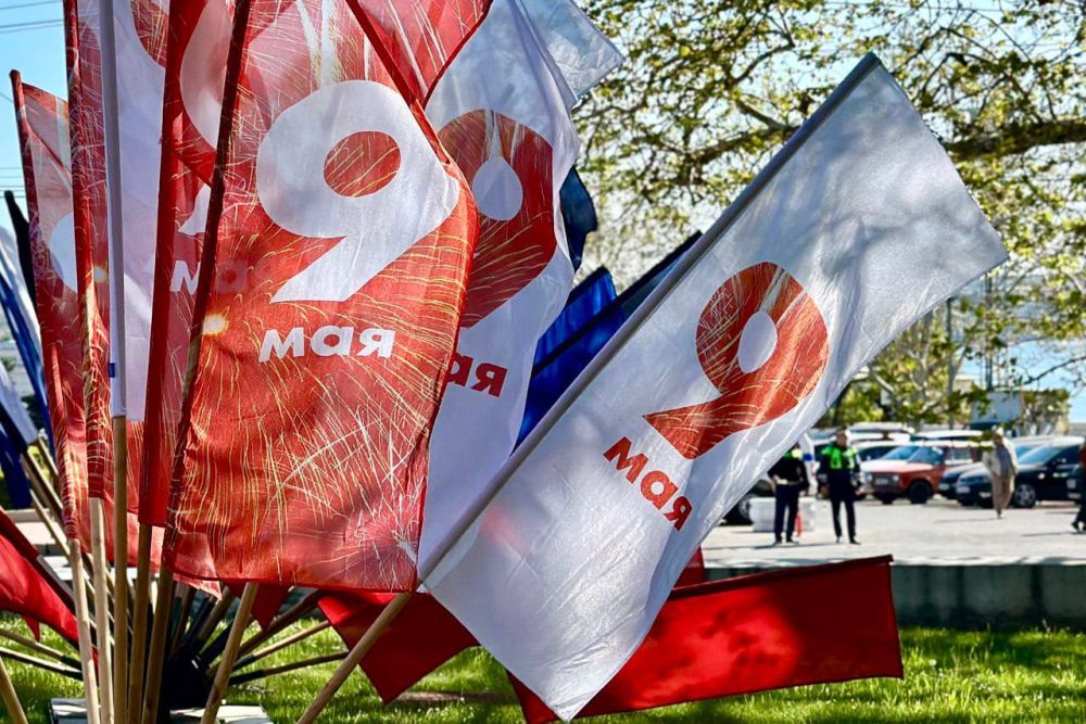 �������� ������: ����������� �����������, ����������� 80-����� ������� ������ � 81-� ��������� ������������ �����������, ����������� ������ � ���������� ����� � ������ � ������� ���� � ��������� ����������� �������...