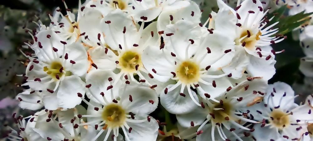 ������ ����, �����������!. ������� ��������� ������� ���������� ����������. ����� �������� 8-10 �/�