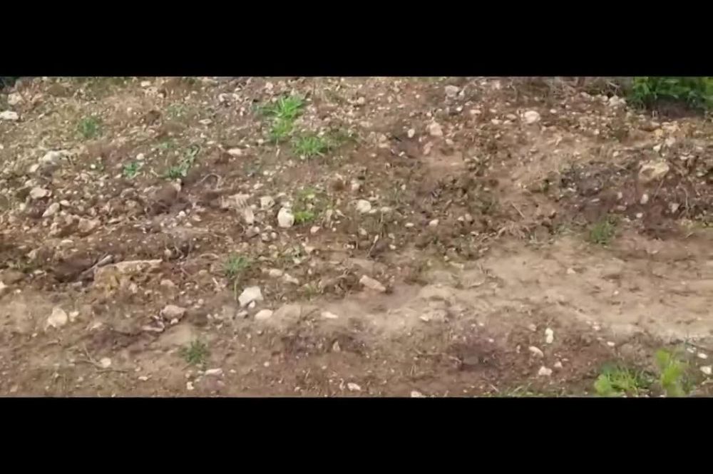 � ��������� ������������� ����������� � ������� �� �������� 80 ������ � ������ � ������, �������� ����� �� ������