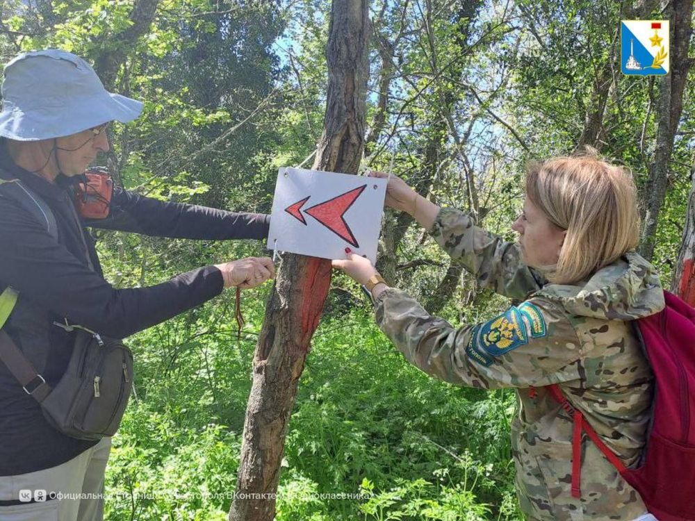 ��������������� ����������� ����������� ������� ����������� ������� � ���������� ������