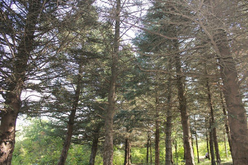 ���� ����� ����� ����� ������ ��� ����� ���������������, �� � ��������� ����� �����������, �� ������ ���������� ����������� ������ �����, � ������ ������ ������� ��������� ������