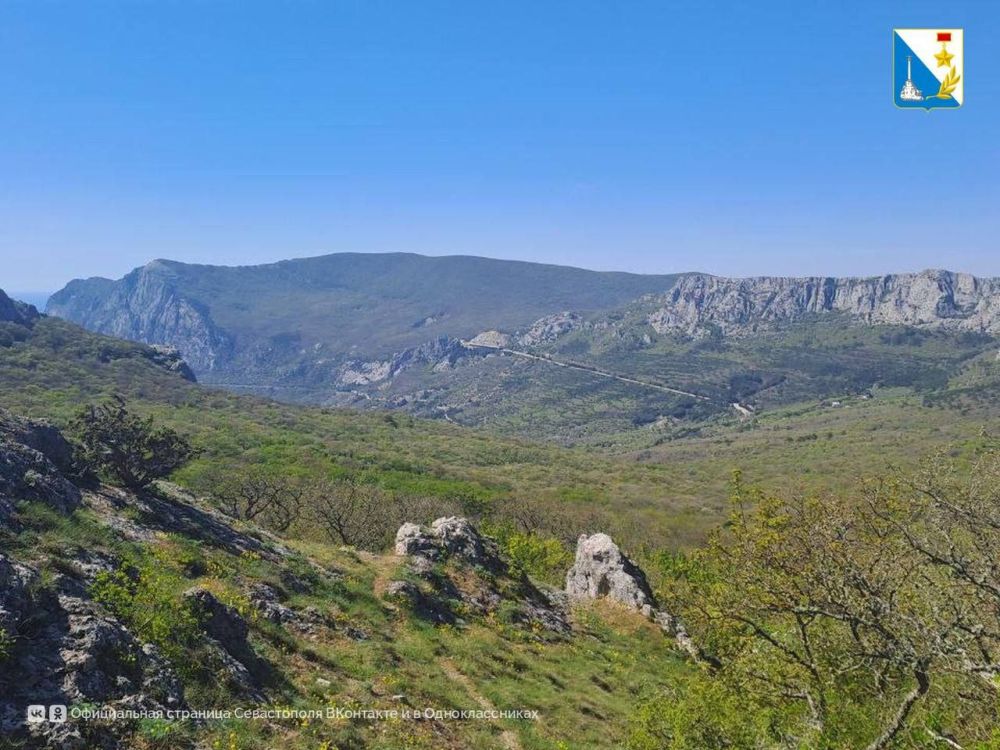 ��������������� ����������� ����������� ������� ����������� ������� � ���������� ������