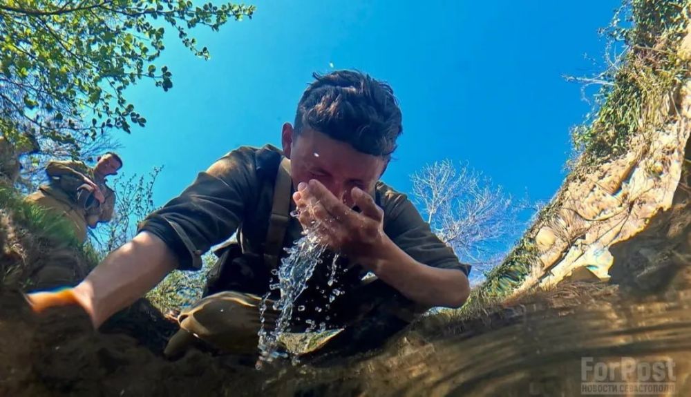 ���� �����������, � ���������, ��� ������������ ����� ��������� �������������