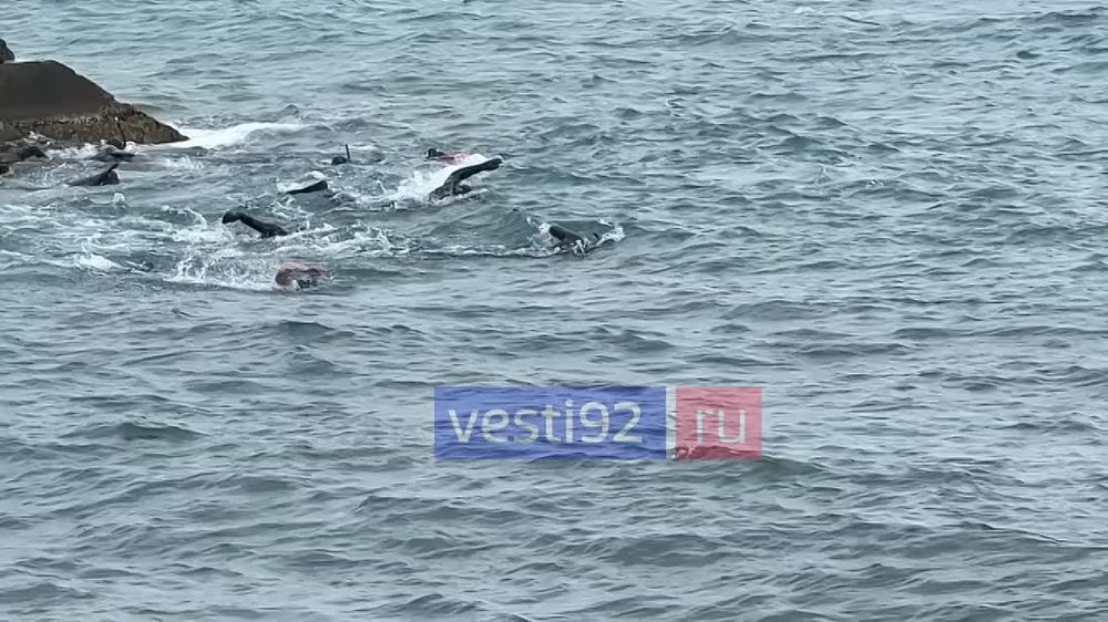 250 ������ �� ��������: ���������� ����������� ��������� ������, ����������� 80-����� ������