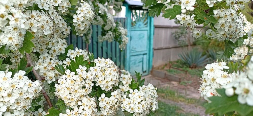 ������ ����, �����������!. ������� ��������� ������� ���������� ����������. ����� �������� 8-10 �/�