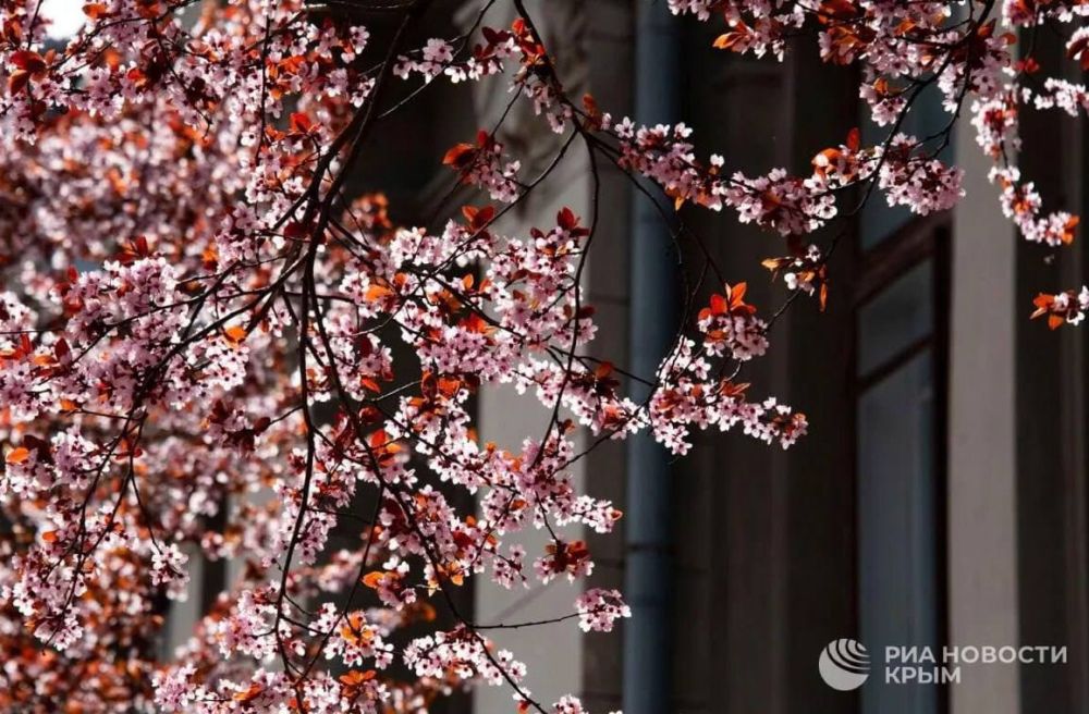 ������� ������ � ����� �� �������