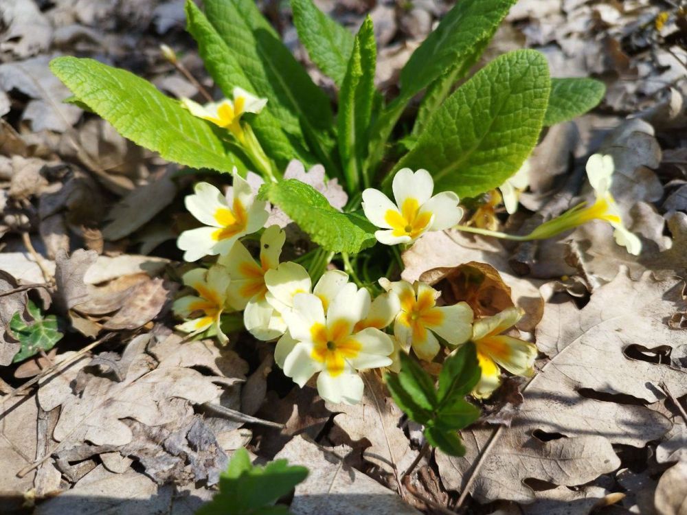 ������� ������ � ����� �� 10 ���