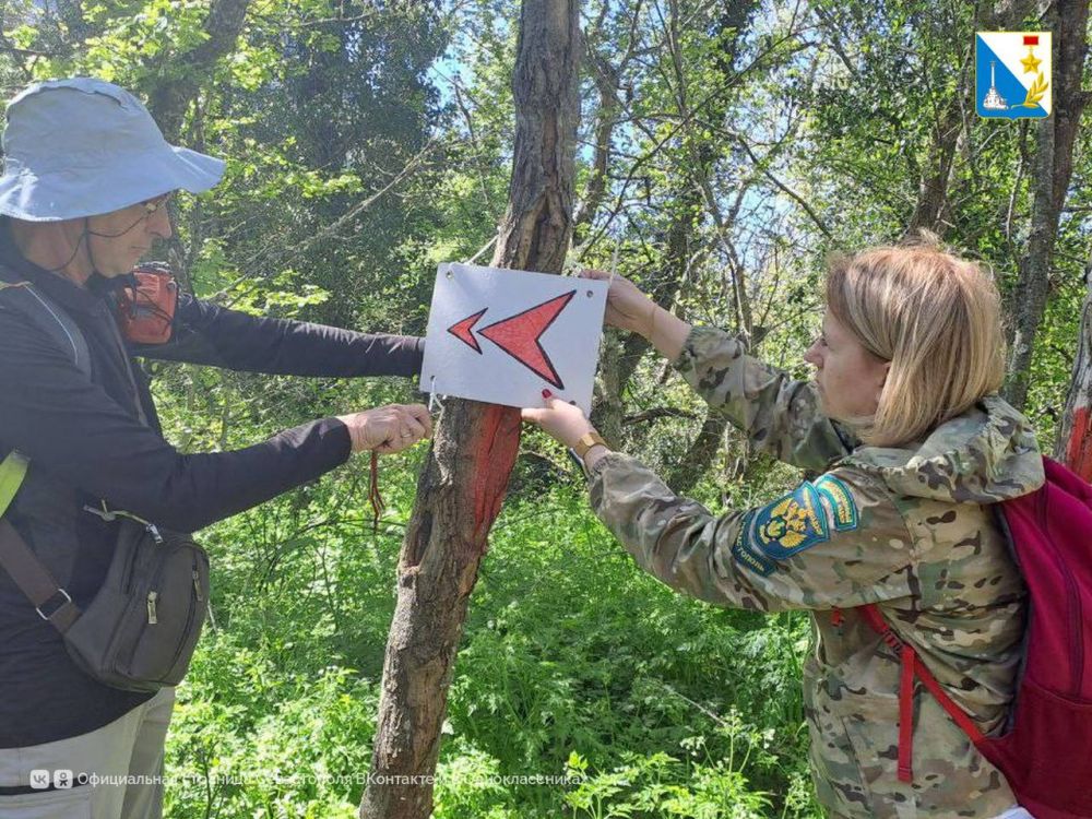 ������������ �������� ����������� ������� � ���������� ������