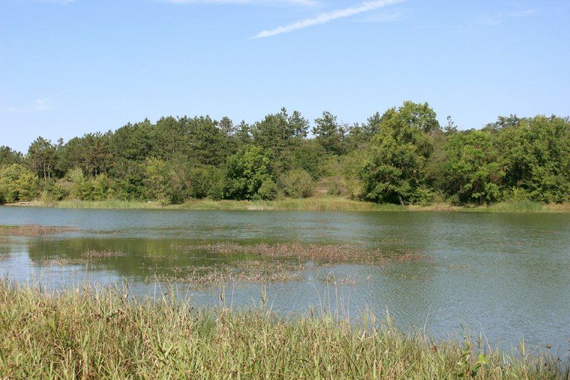 ���� ����� ����� ����� ������ ��� ����� ���������������, �� � ��������� ����� �����������, �� ������ ���������� ����������� ������ �����, � ������ ������ ������� ��������� ������