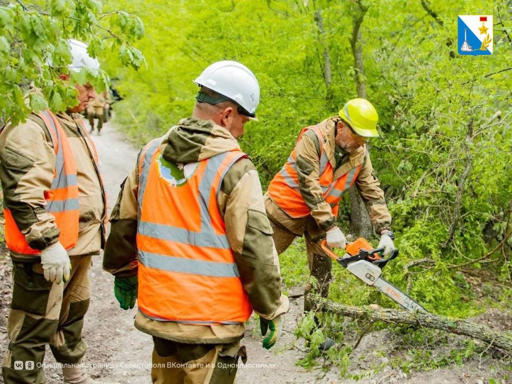 ����������� �������� ��� �� ����