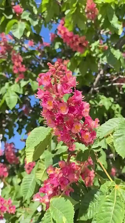 ������� ��� � �����: �� ������ ����������� ������ ������� ������