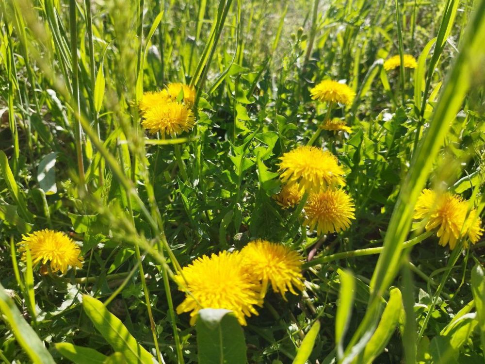 ������� ������ � ����� �� 11 ���