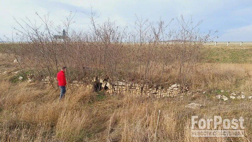 ���������� �������� �� ������ �������� ��� ��� ������ ��� �������� ��� �������� �������