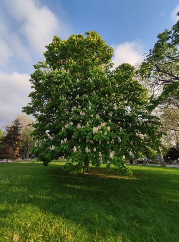 ���� �����. � ����������� 11 ��� ��� �������