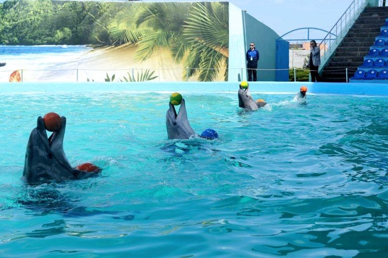 1 � ����������� ������� �������� ���������� ����������� ��� ���� �����