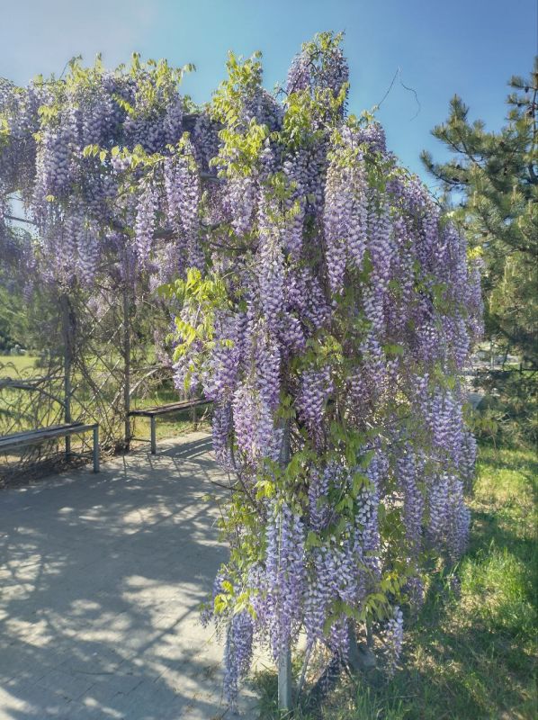 ������ ����, �����������!. ������� ��������� ������� ���������� ����������. ����� ���-�������� 10-12 �/�