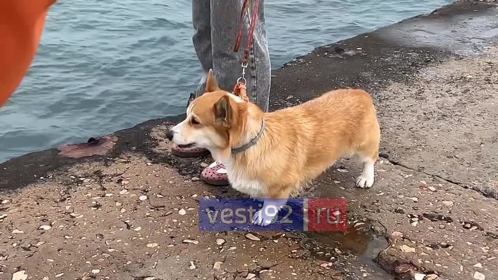 ������ ����, �����������! ������� ��������� ���������� ����������, ��� �������