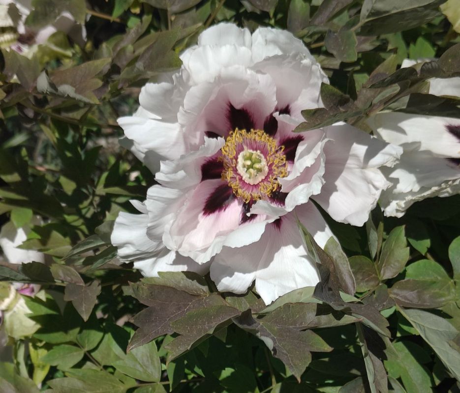 #��� �� ��������?. �������������� ���� ��������� ���� ��� �������� � ����� �������: � ����� �� ���� ����� ���� �����-�� �������� ����� ���������, � ���������� ������� �� �� ������� ����� �����, ��� ���������