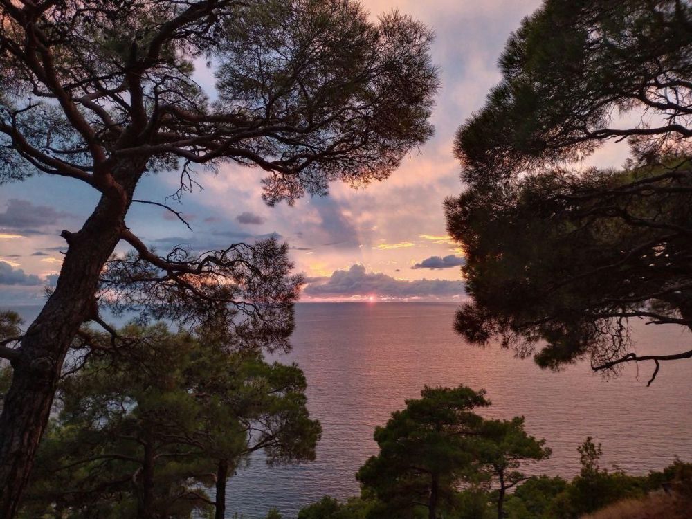 12 ��� � ���� �������������� �����������