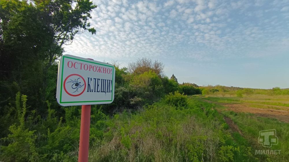 8 ������� ����������� ��������� �������� ����������� � 1 ������ ��������� ���������� ���������������� �� �������� ����������� � ������ ����