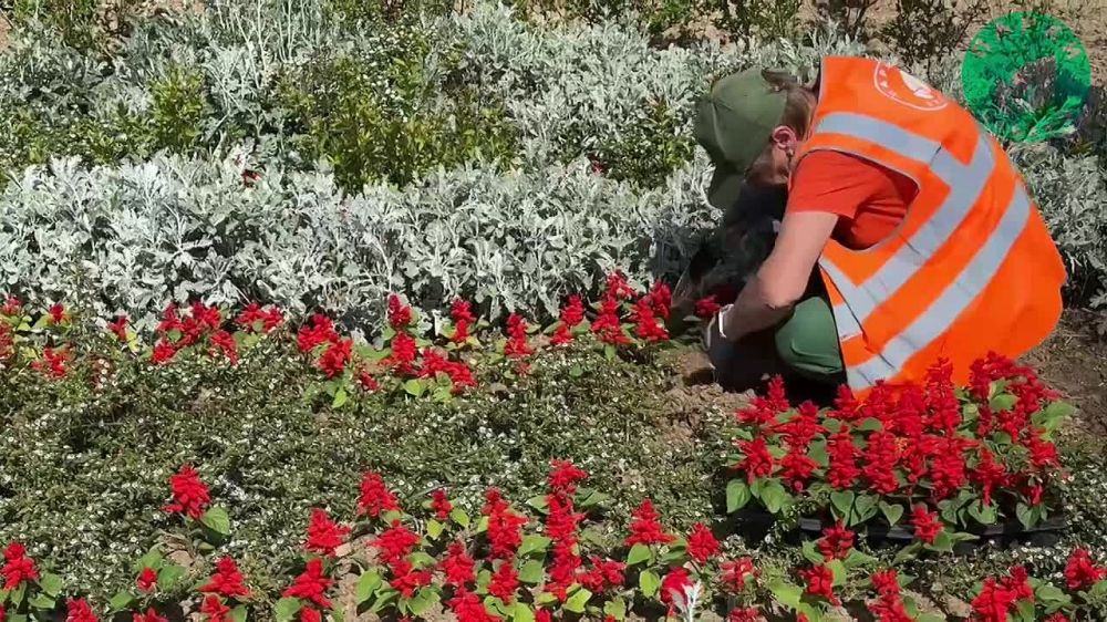 ���������� ��� ������ � ������� ��������� ���������� ������ �� ����� ����������