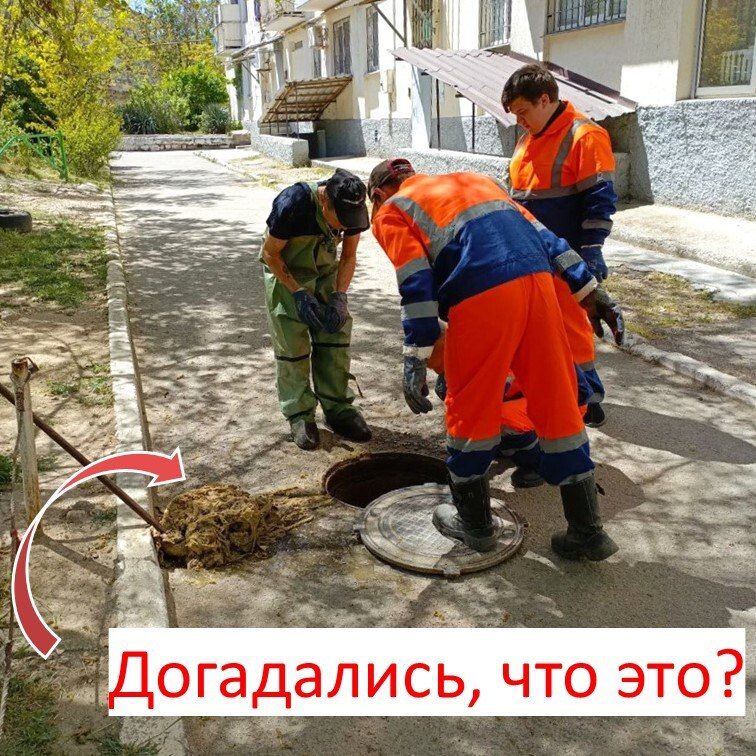 ���������: ��� ����� ������� ������� ��������, ��������� � ������!