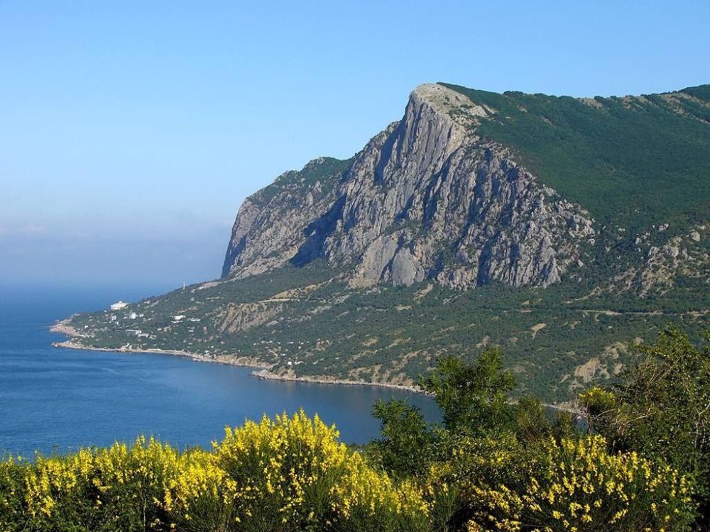 12 ��� � ���� �������������� �����������